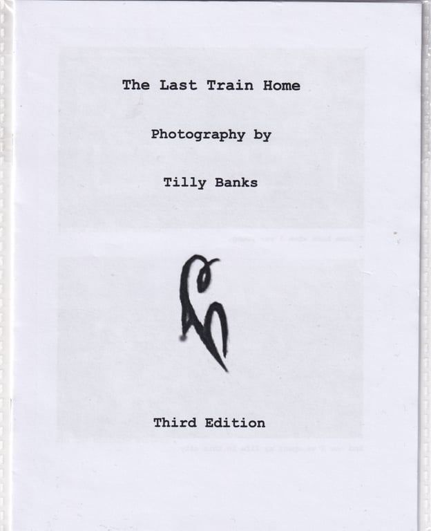 The Last Train Home