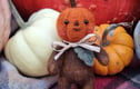 Pumpkin Patch Pals