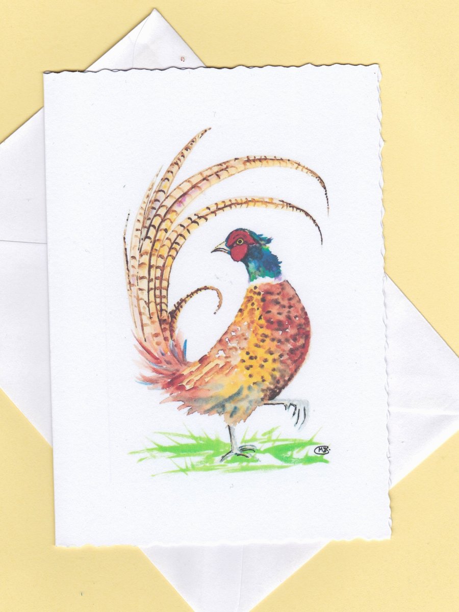 Pheasant blank inside card. 
