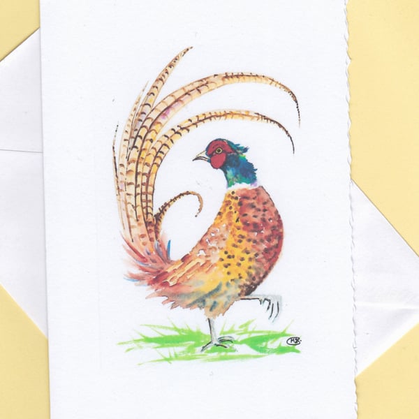 Pheasant blank inside card. 