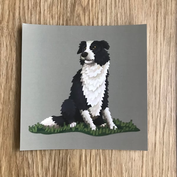 Border Collie Square Post Card Print