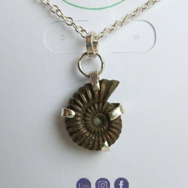 Pyrite Ammonite Fossil Pendant Claw Set in Sterling Silver on 18" 46cms Necklace