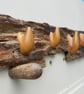 Blitz Timber 14 - Image 2