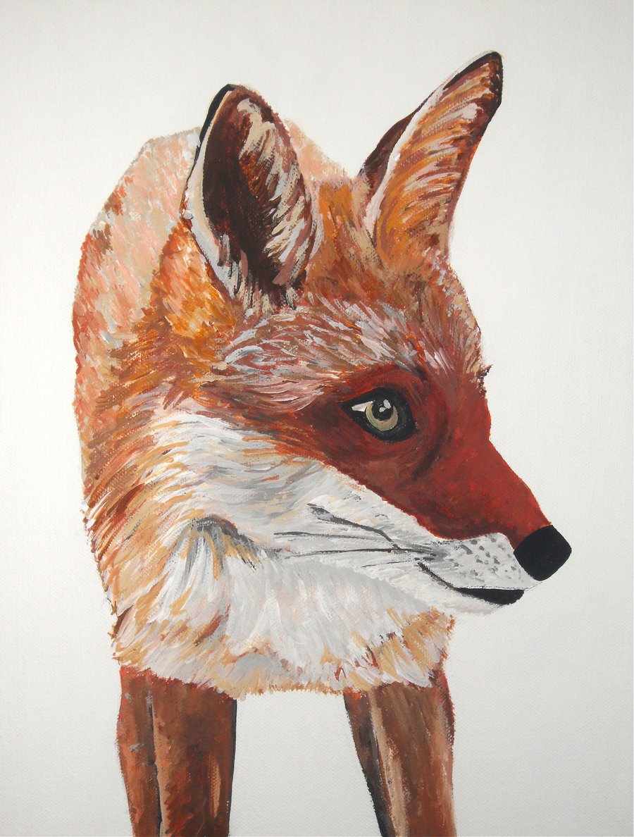 Fox Canvas
