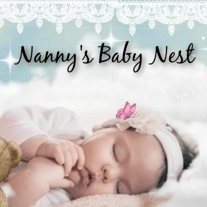 Nanny's Babby Nest