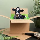 Cow Card; Personalised, Birthday or Blank. Friesian cow gift card holder. 