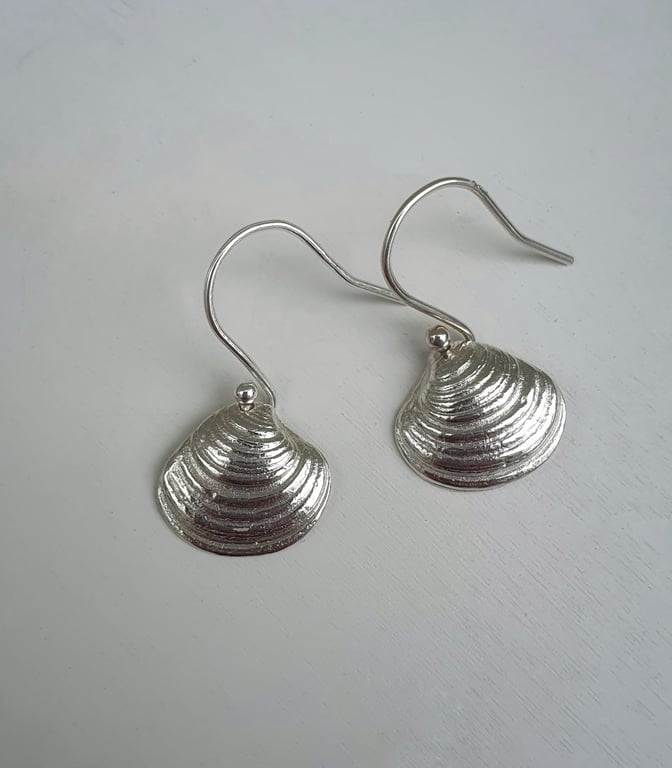 Venus Shell Earrings