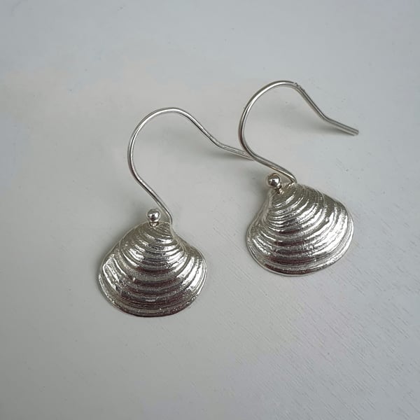 Venus Shell Earrings