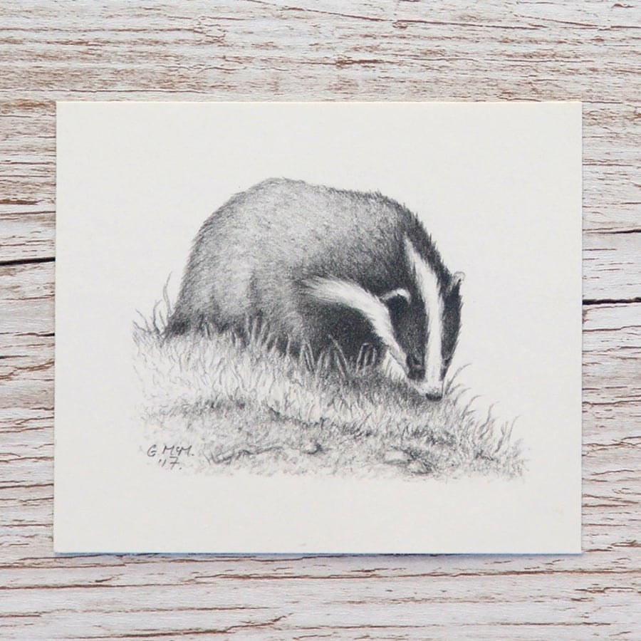 Original Pencil Drawing - Badger 2