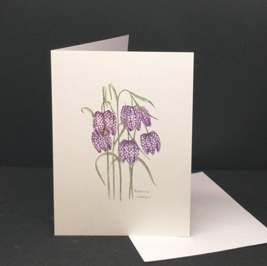 Fritillaries greetings card, blank inside.