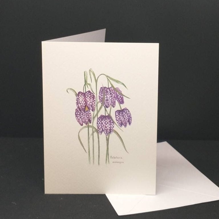 Fritillaries greetings card, blank inside.