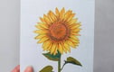 Printed greetings cards