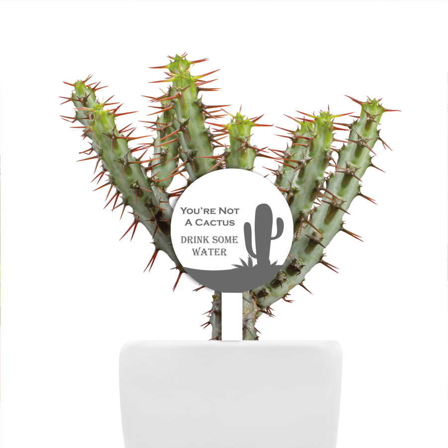You're Not A Cactus Drink More Water Stay Hydrated Reminder Plant Tag