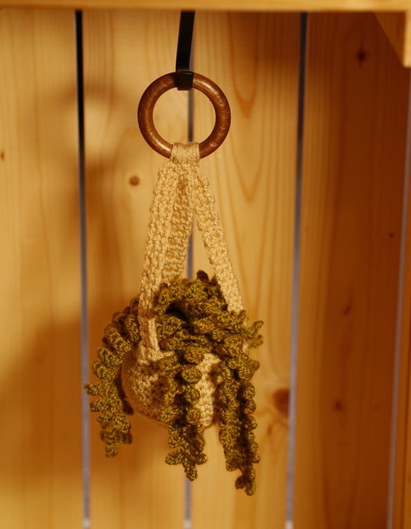 Crochet hanging plant