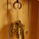 Crochet hanging plant