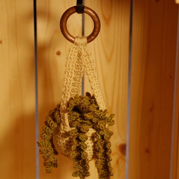 Crochet hanging plant