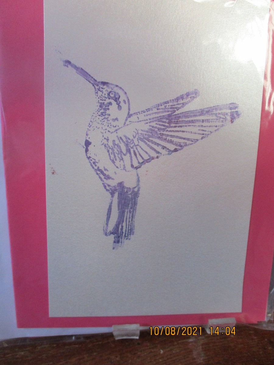 Bird General Card
