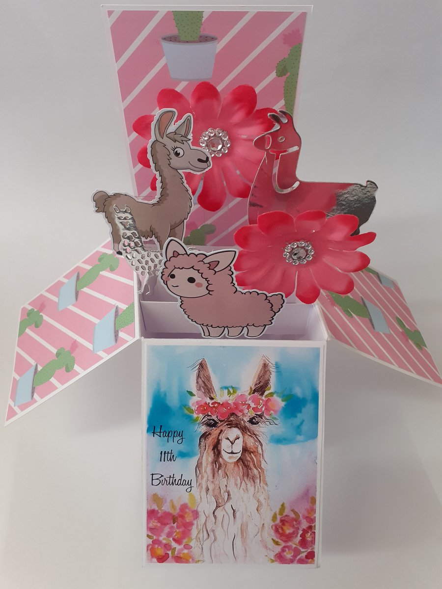 Girls 11th Birthday Card with Lamas