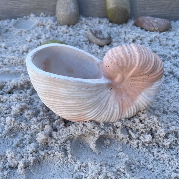 Handmade White Cement Nautilus Shell  Coastal Decor Sculpture 