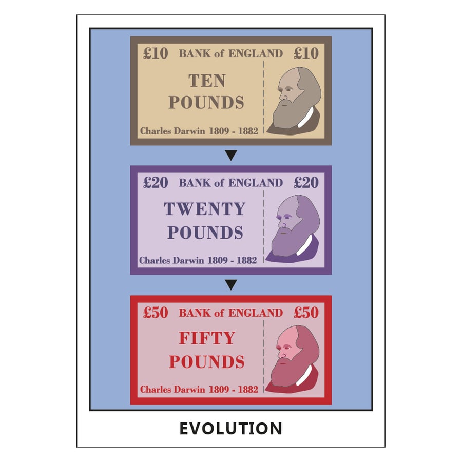 Image of Evolution Postcard