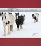 CJ119 - Ponies in the snow - Image 3