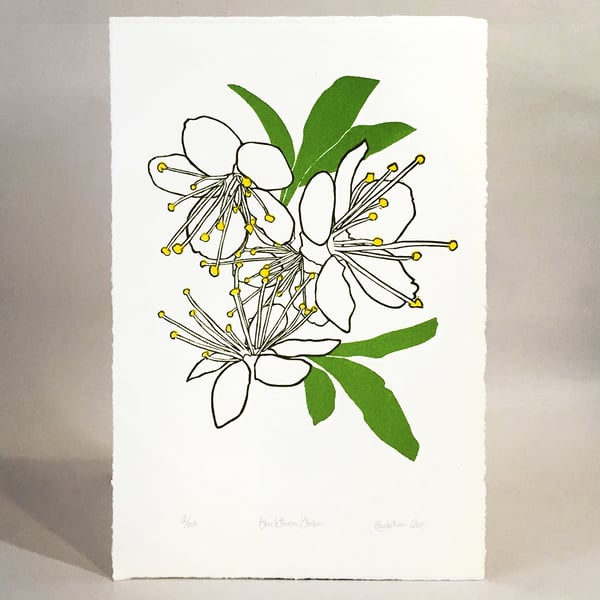 Blackthorn Blossom - Original Limited Edition LinoCut Print