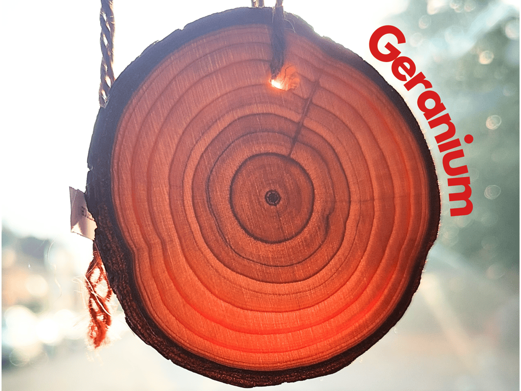 Geranium Car Air Freshener. Wooden slice with long-lasting fragrance. Handmade.