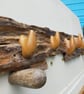 Blitz Timber 14 - Image 10