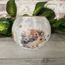 Glass Bowl Vase. Hedgehog.