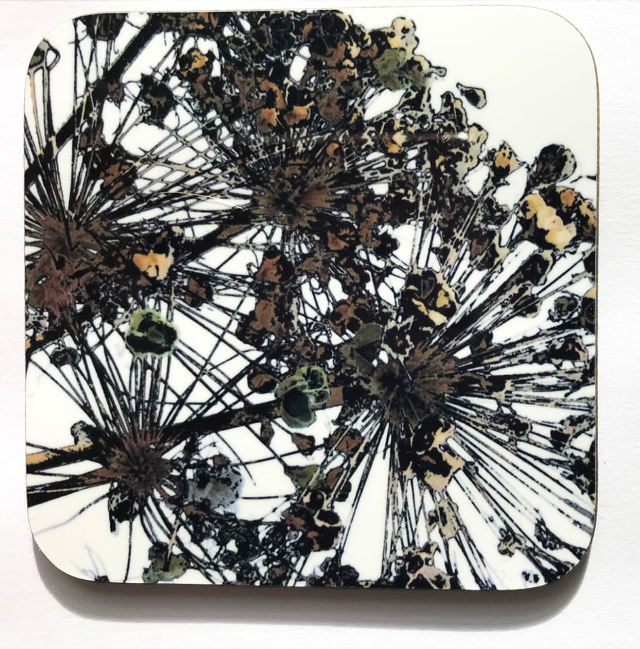Allium Seedheads square  coaster brown black and white homeware gift 