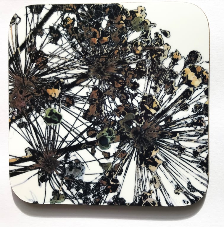 Allium Seedheads square  coaster brown black and white homeware gift 