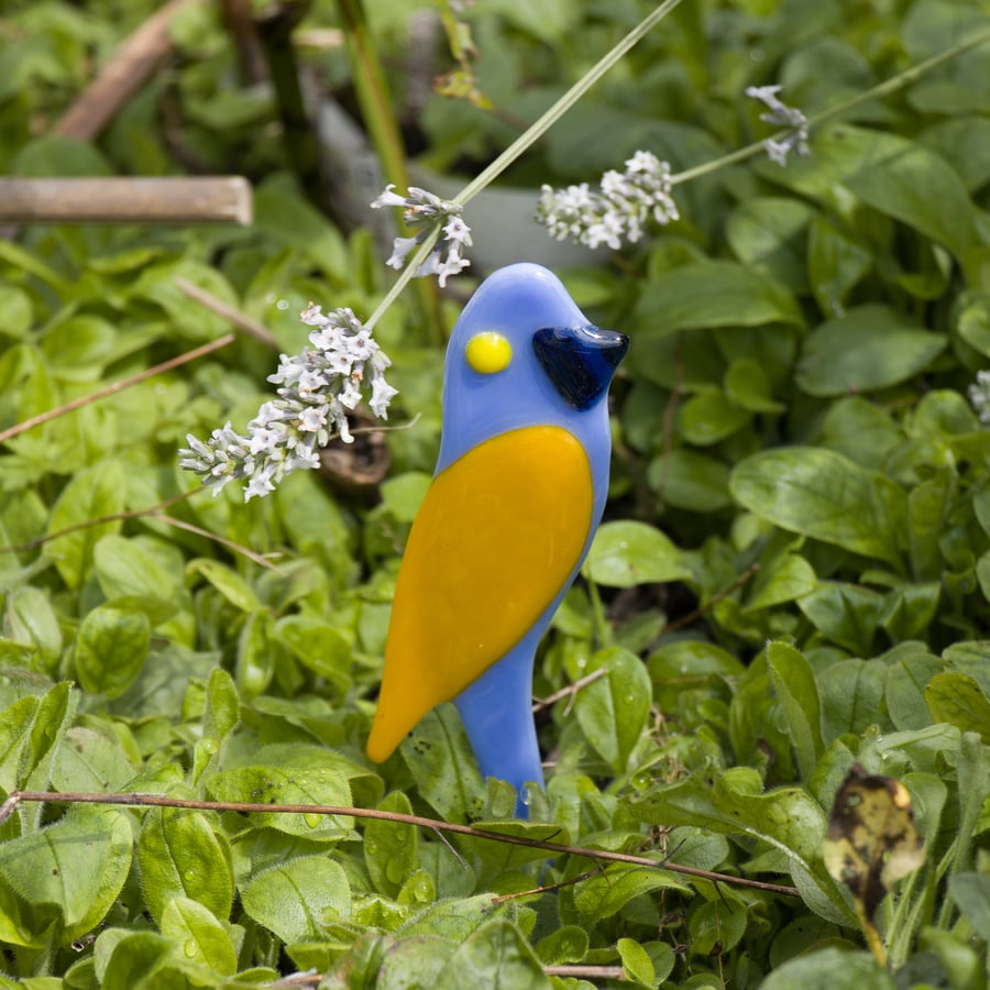 Blue and Yellow Pot Parrot in Fused Glass - 3200-01