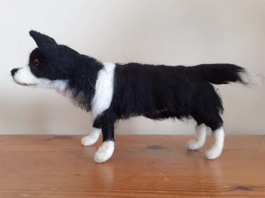 Needle felted wool sculpture ooak,collectable Border Collie dog 