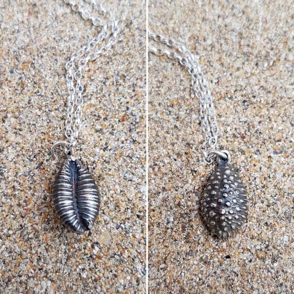 Lucky Spotty Cowrie Shell