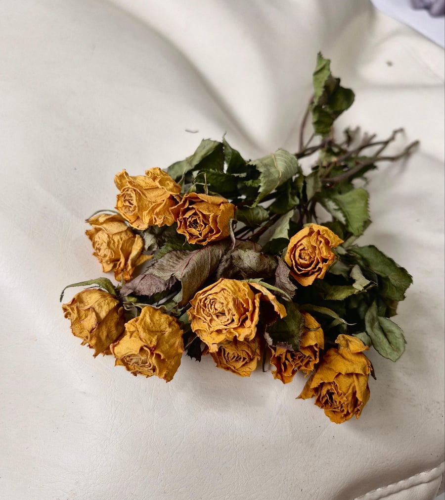 10 Dried Roses, Dark Yellow Gold. Letterbox Flowers.
