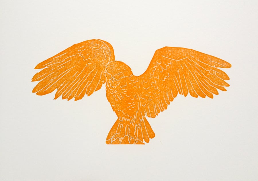 Orange Owl
