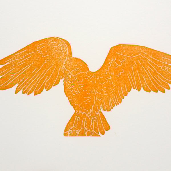 Orange Owl