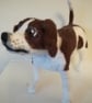 Jack Russell SOLD - Image 1