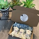Cashmere and cocoa butter scented wax melts