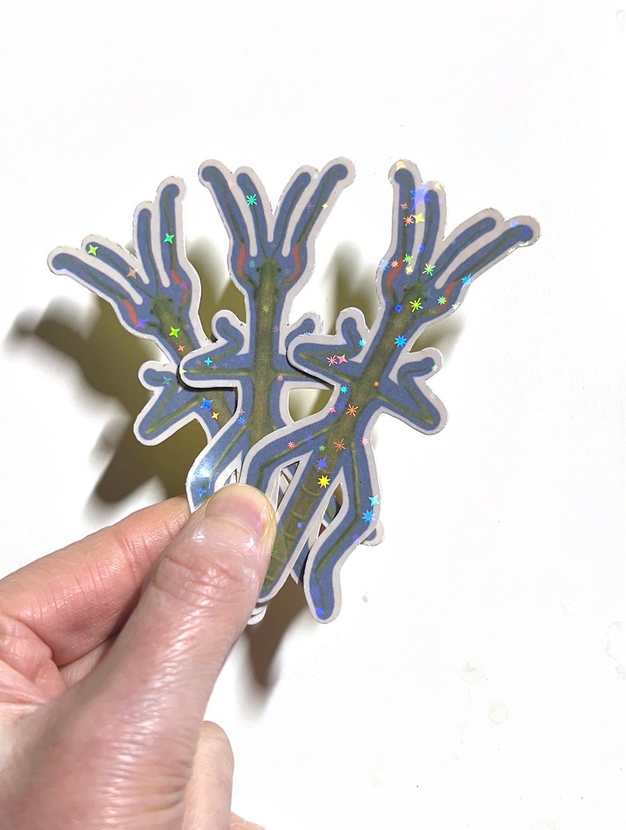 Stick Insect Sticker 