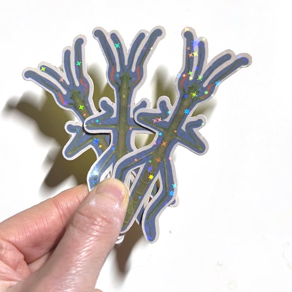 Stick Insect Sticker 