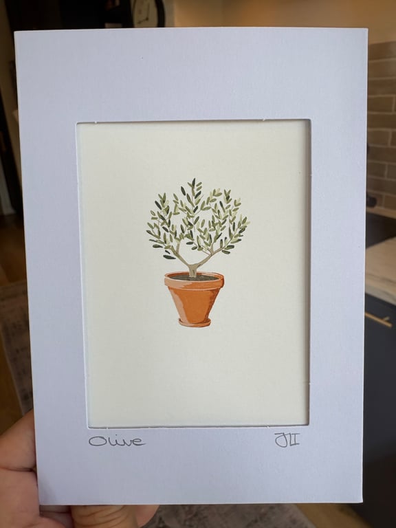 Olive Tree Fine Art Print Card - Blank Framable Card