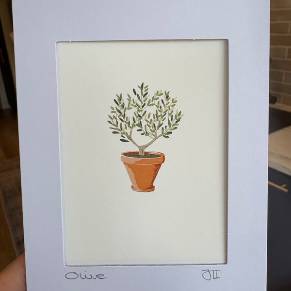 Olive Tree Fine Art Print Card - Blank Framable Card
