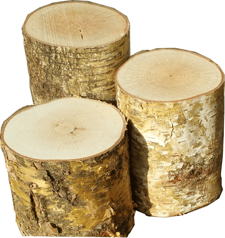 Woodturning Blanks - Kiln Dried - Bundle 3 Round Logs - Silver Birch - 