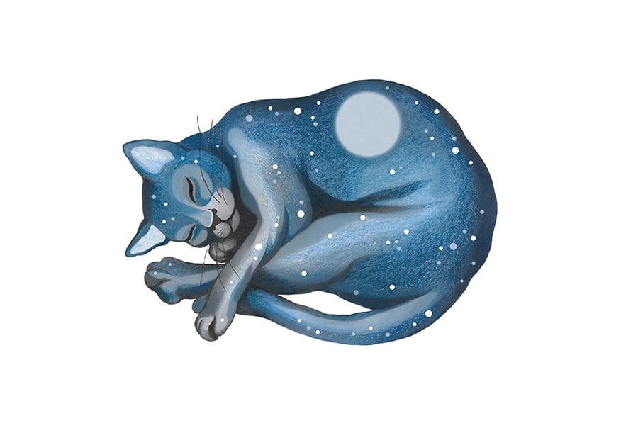 Cat Art Giclee Print - "Lunar Cat Dreaming"