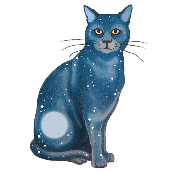 Cat Art print - Lunar Cat Sitting - mystical cat, magical cat