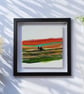 Northumberland hills - Summer days  - Image 3