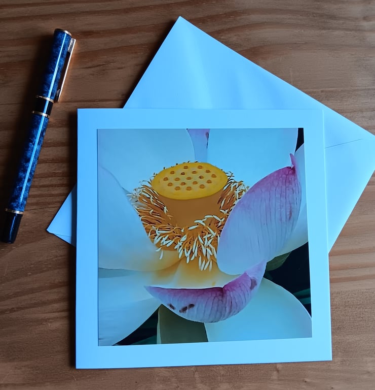 Lotus Flower Large Photographic Card 6" x 6" Blank