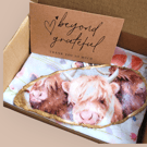 Highland Cow Decoupage Shell Trinket Dish 