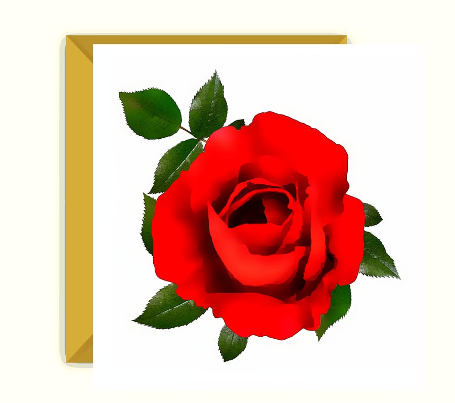 Beautiful Red Rose, Birthday, Greeting Card